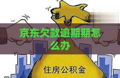 京东欠款逾期期怎么办