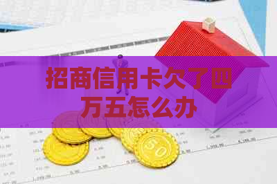 招商信用卡欠了四万五怎么办