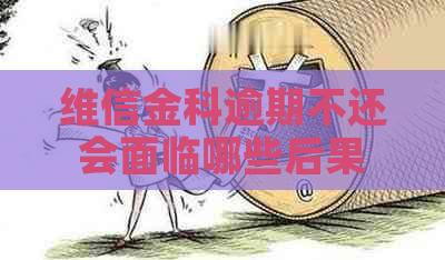 维信金科逾期不还会面临哪些后果