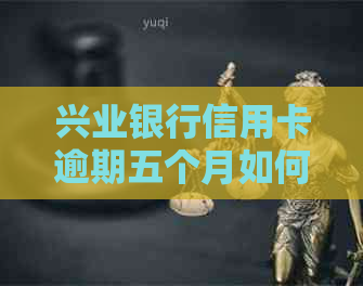 兴业银行信用卡逾期五个月如何处理