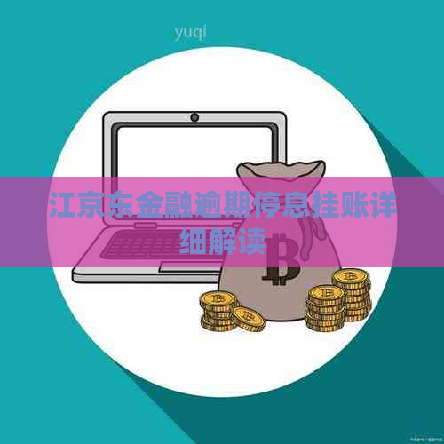 江京东金融逾期停息挂账详细解读