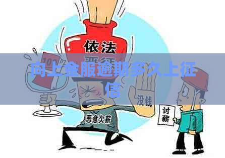 向上金服逾期多久上