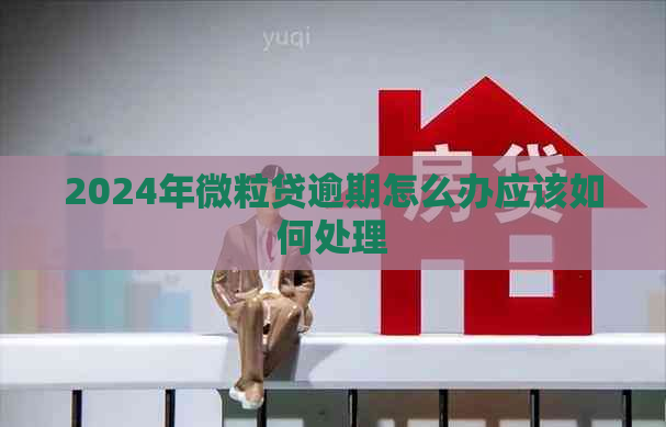 2024年微粒贷逾期怎么办应该如何处理