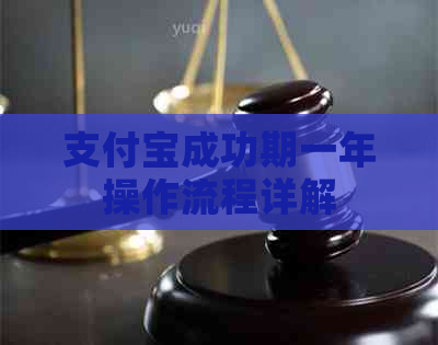 支付宝成功期一年操作流程详解