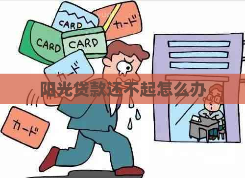 阳光贷款还不起怎么办