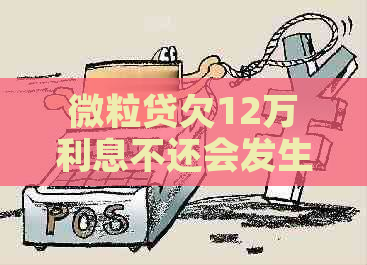 微粒贷欠12万利息不还会发生什么