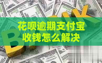 花呗逾期支付宝收钱怎么解决