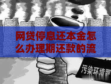 网贷停息还本金怎么办理期还款的流程是什么