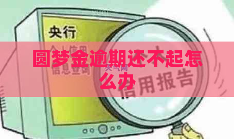 圆梦金逾期还不起怎么办