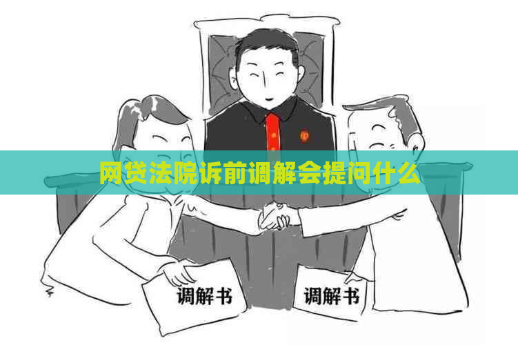 网贷法院诉前调解会提问什么