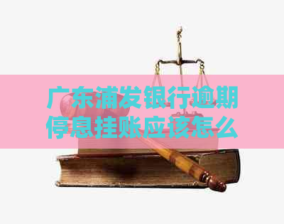 广东浦发银行逾期停息挂账应该怎么处理