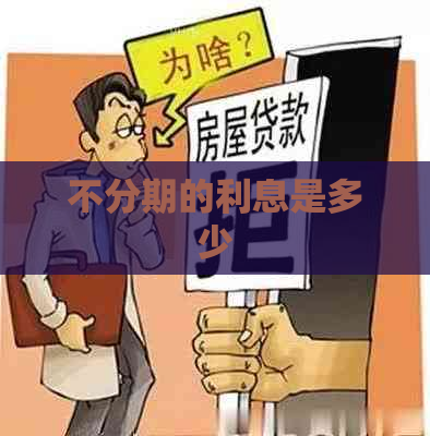 不分期的利息是多少