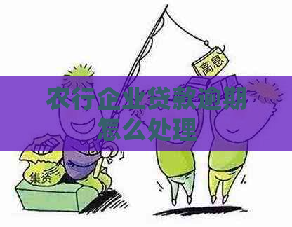 农行企业贷款逾期怎么处理