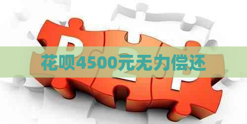 花呗4500元无力偿还