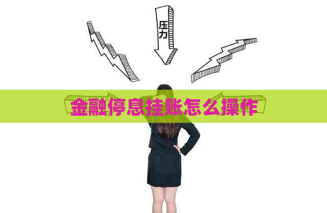 金融停息挂账怎么操作