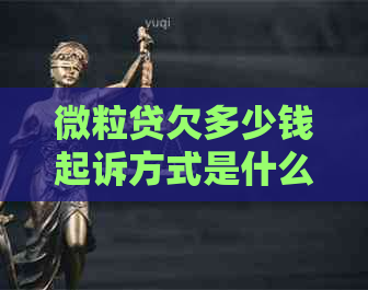 微粒贷欠多少钱起诉方式是什么