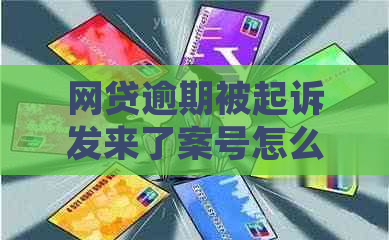 网贷逾期被起诉发来了案号怎么办