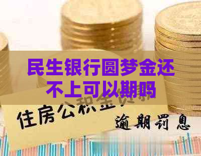 民生银行圆梦金还不上可以期吗