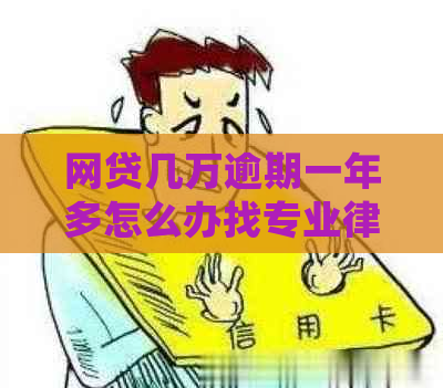 网贷几万逾期一年多怎么办找专业律师协助处理