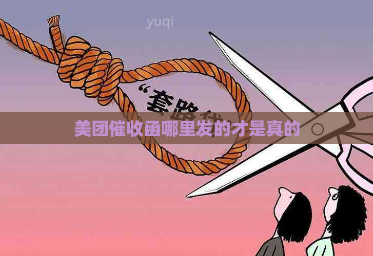 美团函哪里发的才是真的