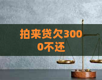 拍来贷欠3000不还