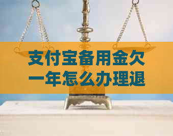 支付宝备用金欠一年怎么办理退款手续