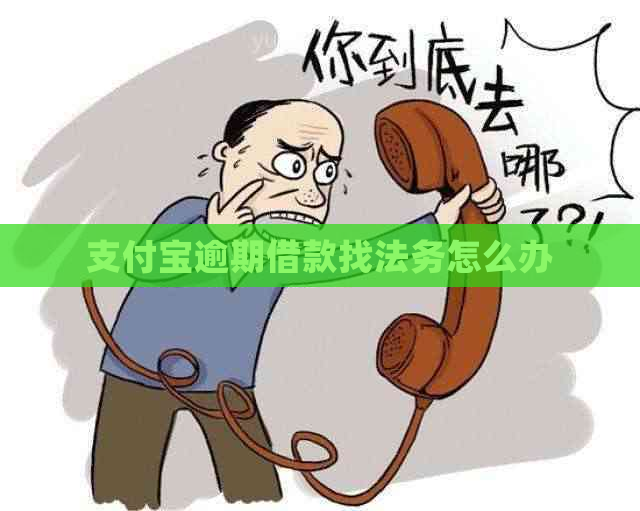 支付宝逾期借款找法务怎么办