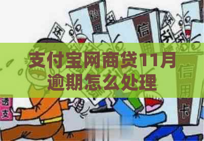 支付宝网商贷11月逾期怎么处理