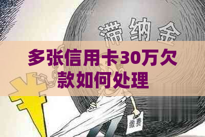 多张信用卡30万欠款如何处理