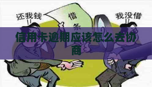 信用卡逾期应该怎么去协商