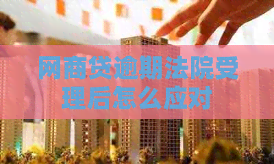 网贷逾期法院受理后怎么应对