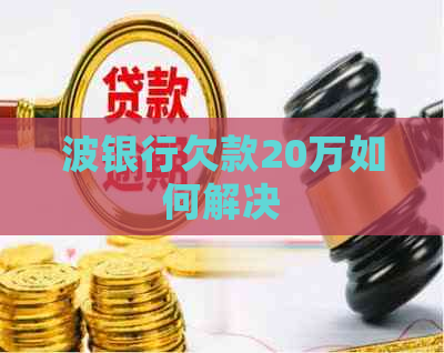 波银行欠款20万如何解决