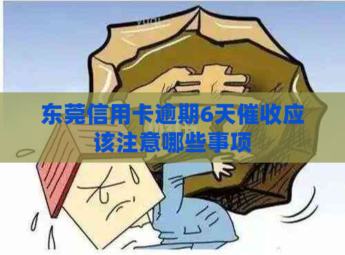 东莞信用卡逾期6天应该注意哪些事项