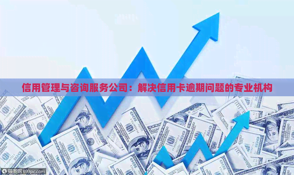 信用管理与咨询服务公司：解决信用卡逾期问题的专业机构