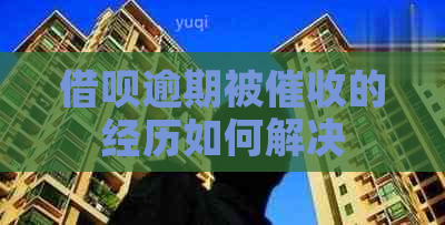 借呗逾期被的经历如何解决