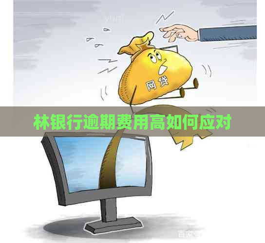 林银行逾期费用高如何应对