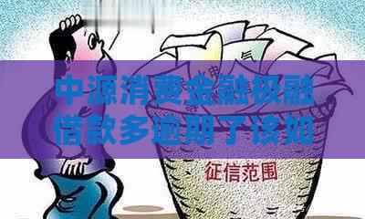 中源消费金融极融借款多逾期了该如何处理