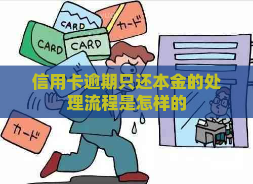 信用卡逾期只还本金的处理流程是怎样的