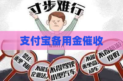 支付宝备用金