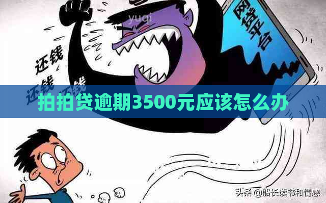 逾期3500元应该怎么办