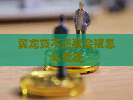 翼龙贷不还款会被怎么处理