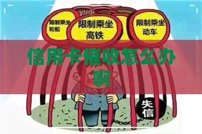 信用卡怎么办啊