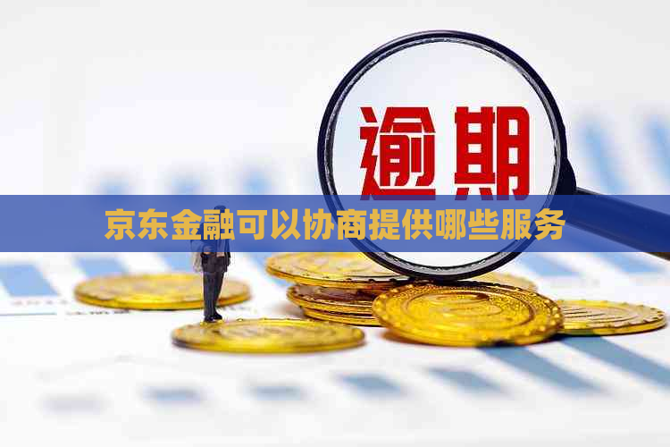 京东金融可以协商提供哪些服务