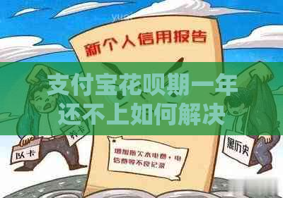 支付宝花呗期一年还不上如何解决