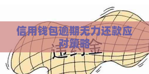 信用钱包逾期无力还款应对策略