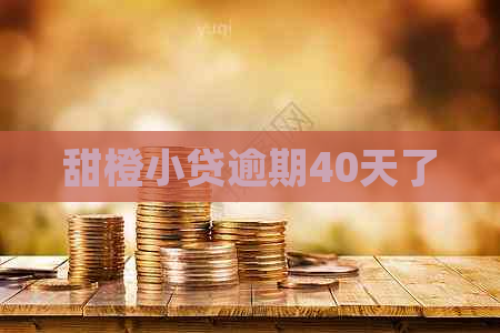 甜橙小贷逾期40天了