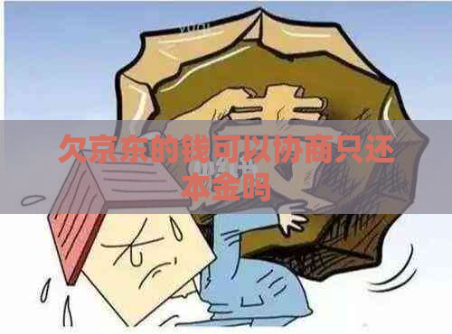 欠京东的钱可以协商只还本金吗