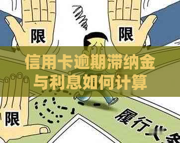 信用卡逾期滞纳金与利息如何计算