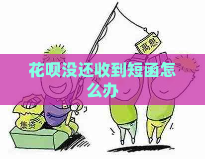 花呗没还收到短函怎么办