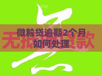 微粒贷逾期2个月如何处理